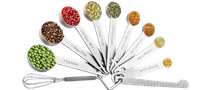 Stainless Steel Measuring Spoons Set of 11
